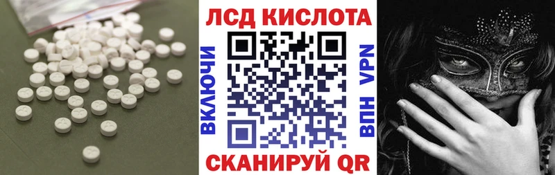 Купить закладки  Канаш  ЛСД экстази ecstasy 